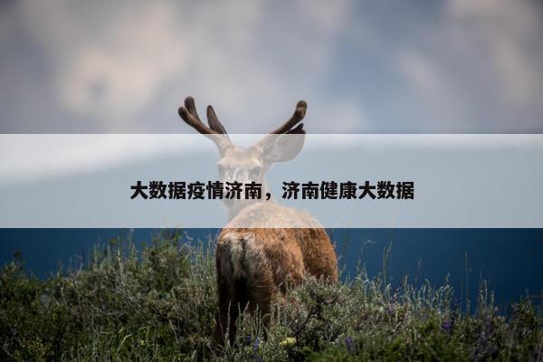大数据疫情济南，济南健康大数据