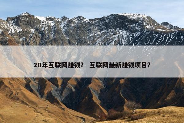20年互联网赚钱？ 互联网最新赚钱项目？