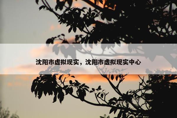 沈阳市虚拟现实，沈阳市虚拟现实中心