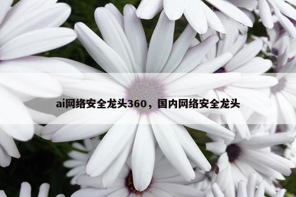 ai网络安全龙头360，国内网络安全龙头