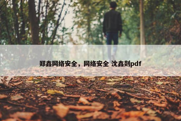 郑鑫网络安全，网络安全 沈鑫剡pdf