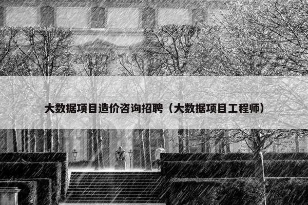 大数据项目造价咨询招聘（大数据项目工程师）