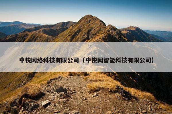 中锐网络科技有限公司（中锐网智能科技有限公司）