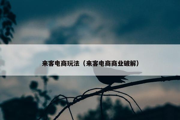 来客电商玩法（来客电商商业破解）