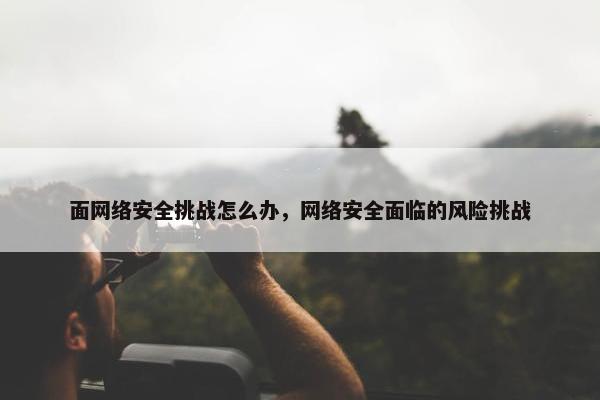面网络安全挑战怎么办，网络安全面临的风险挑战