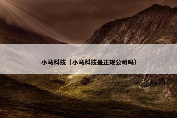 小马科技（小马科技是正规公司吗）