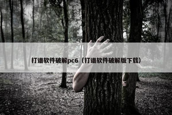打谱软件破解pc6（打谱软件破解版下载）