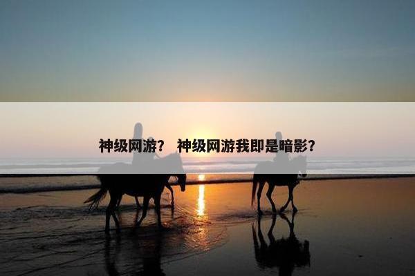 神级网游？ 神级网游我即是暗影？