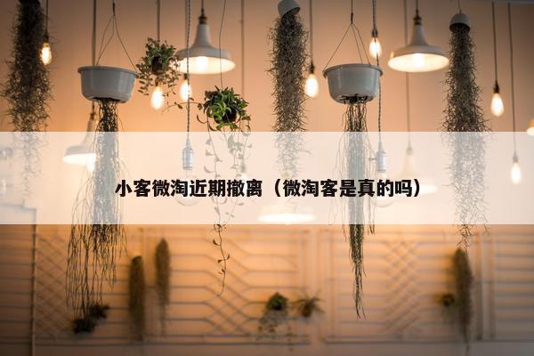 小客微淘近期撤离（微淘客是真的吗）