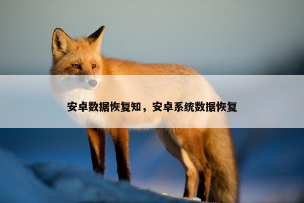 安卓数据恢复知，安卓系统数据恢复
