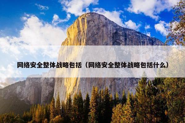 网络安全整体战略包括（网络安全整体战略包括什么）