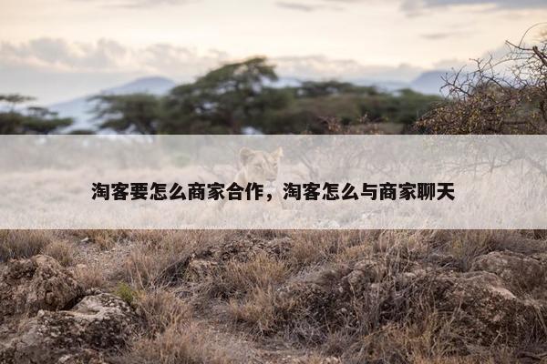 淘客要怎么商家合作，淘客怎么与商家聊天