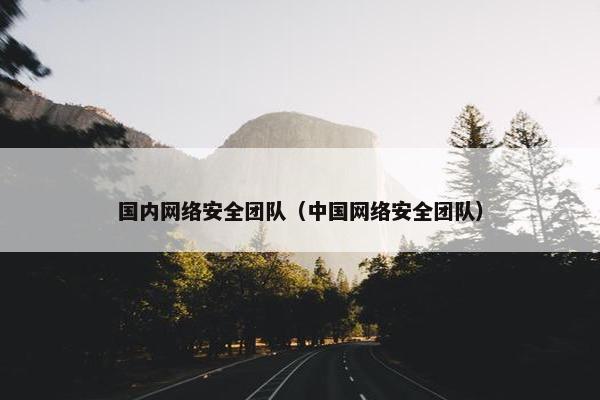 国内网络安全团队（中国网络安全团队）