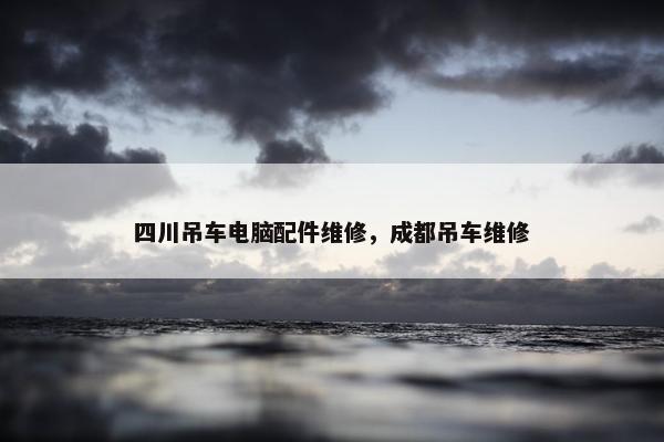 四川吊车电脑配件维修，成都吊车维修