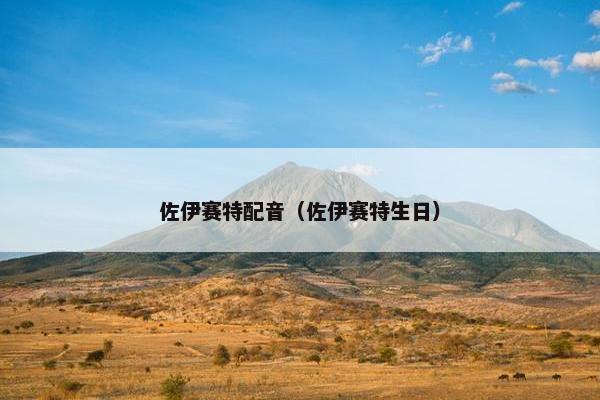 佐伊赛特配音（佐伊赛特生日）