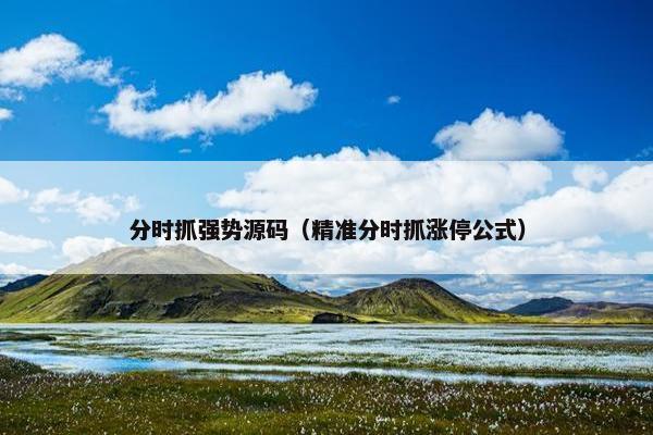 分时抓强势源码（精准分时抓涨停公式）