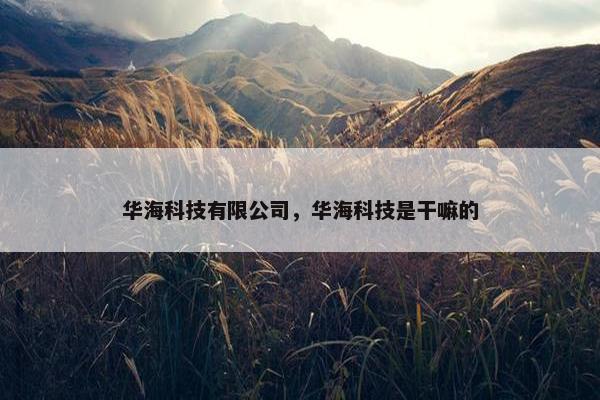华海科技有限公司，华海科技是干嘛的