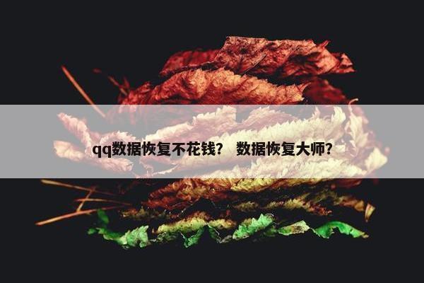 qq数据恢复不花钱？ 数据恢复大师？