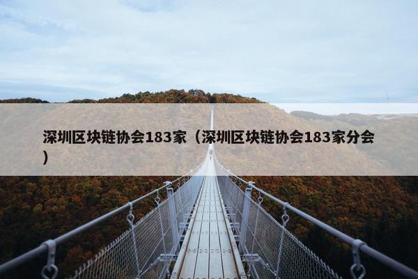 深圳区块链协会183家（深圳区块链协会183家分会）