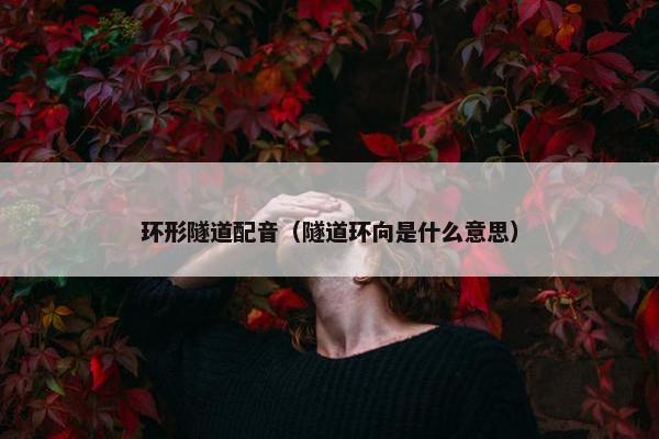 环形隧道配音（隧道环向是什么意思）