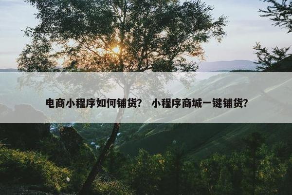电商小程序如何铺货？ 小程序商城一键铺货？