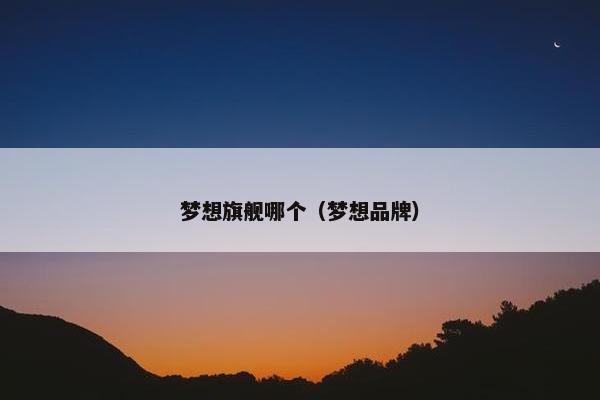 梦想旗舰哪个（梦想品牌）