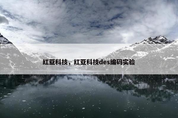 红亚科技，红亚科技des编码实验