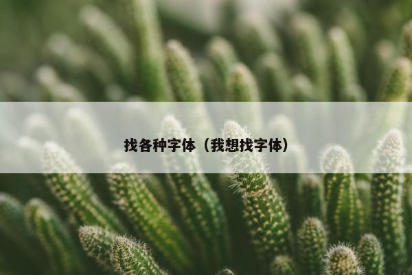 找各种字体（我想找字体）