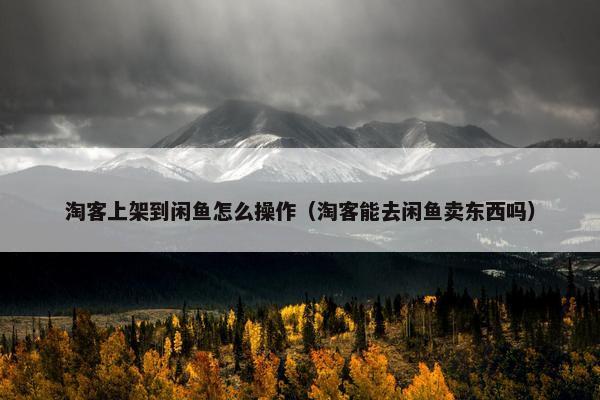 淘客上架到闲鱼怎么操作（淘客能去闲鱼卖东西吗）