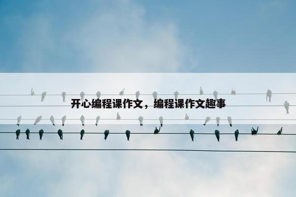 开心编程课作文，编程课作文趣事