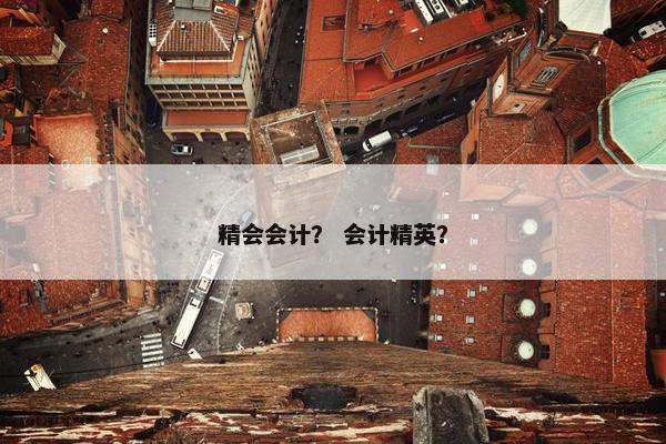 精会会计？ 会计精英？