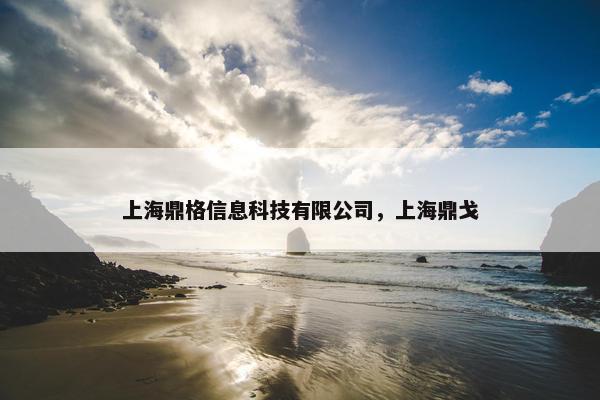 上海鼎格信息科技有限公司，上海鼎戈