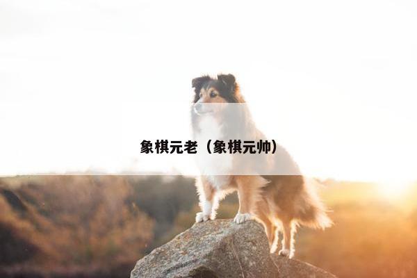 象棋元老（象棋元帅）