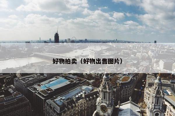 好物拍卖（好物出售图片）
