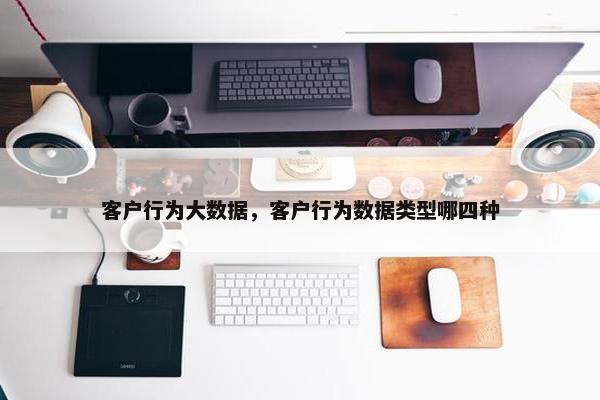 客户行为大数据，客户行为数据类型哪四种