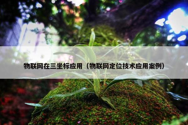 物联网在三坐标应用（物联网定位技术应用案例）