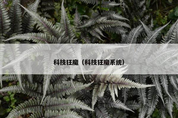 科技狂魔（科技狂魔系统）