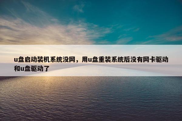 u盘启动装机系统没网，用u盘重装系统后没有网卡驱动和u盘驱动了