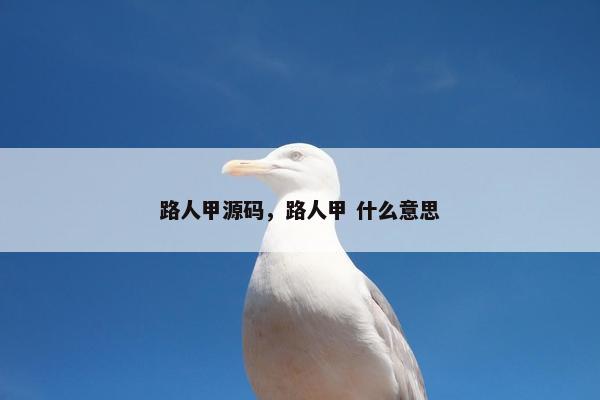 路人甲源码，路人甲 什么意思