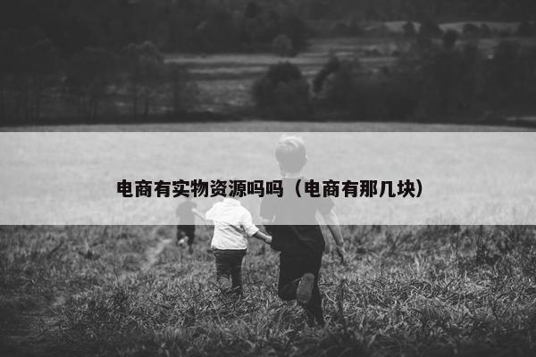 电商有实物资源吗吗（电商有那几块）