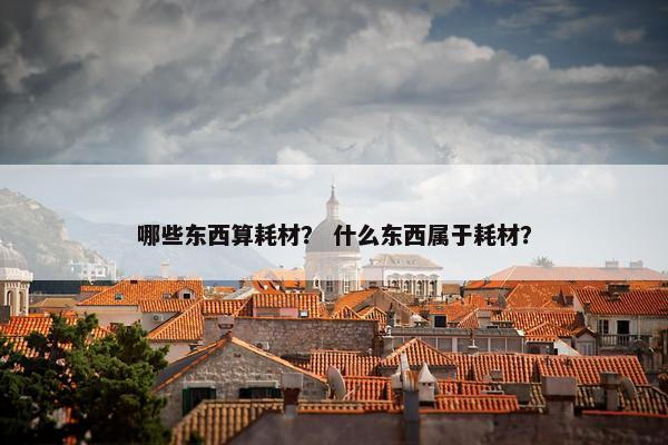 哪些东西算耗材？ 什么东西属于耗材？