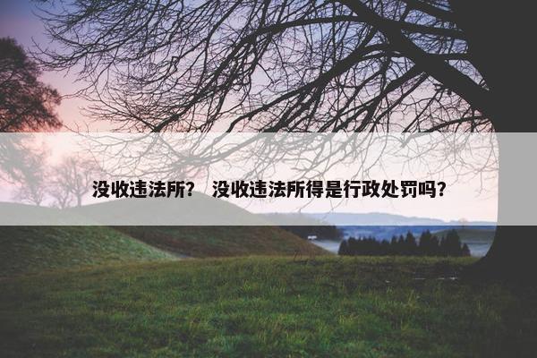 没收违法所？ 没收违法所得是行政处罚吗？