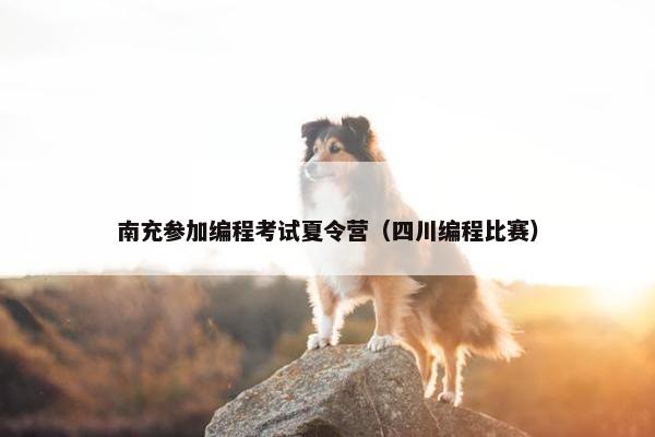 南充参加编程考试夏令营（四川编程比赛）