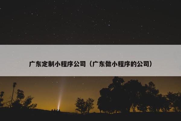广东定制小程序公司（广东做小程序的公司）