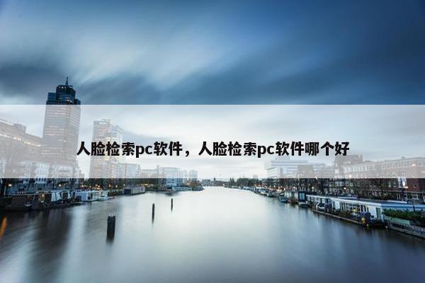 人脸检索pc软件，人脸检索pc软件哪个好