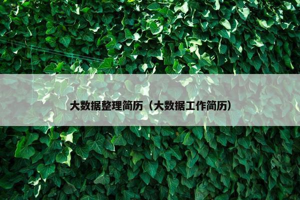 大数据整理简历（大数据工作简历）