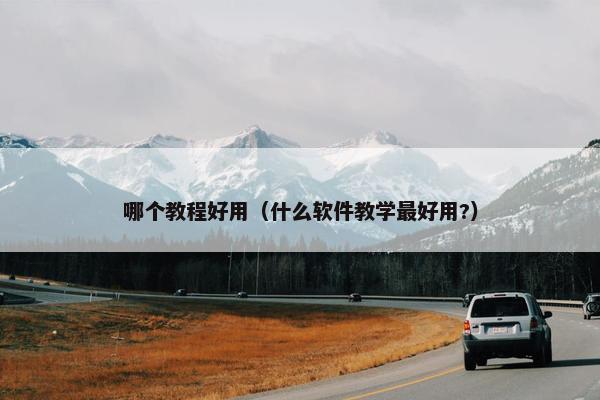 哪个教程好用（什么软件教学最好用?）