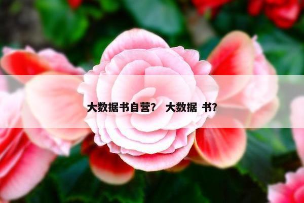 大数据书自营？ 大数据 书？
