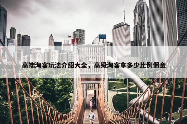 高端淘客玩法介绍大全，高级淘客拿多少比例佣金