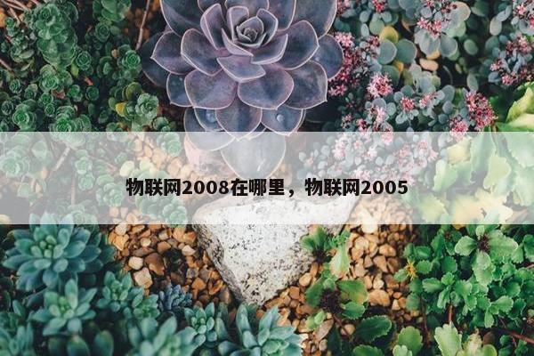 物联网2008在哪里，物联网2005